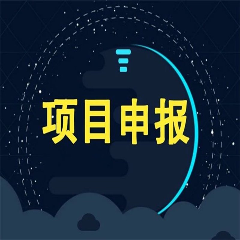 洞察企业脉搏：从管理咨询中汲取力量
